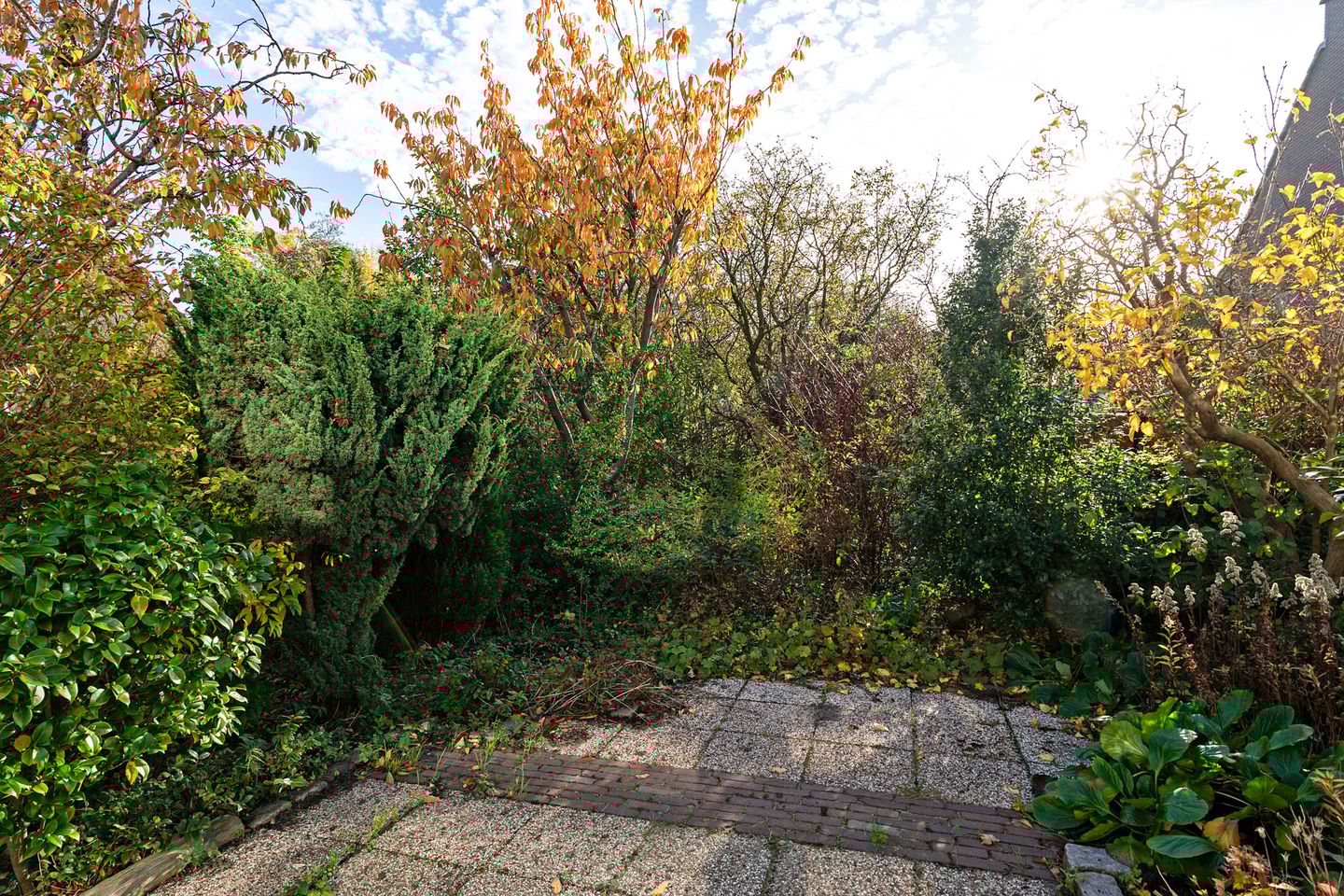 Foto 19 van Schokland 3