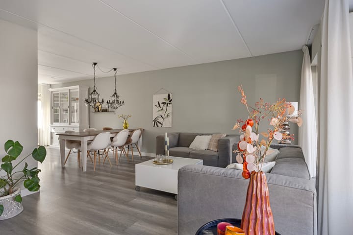 Foto 2 van Blauwgras 105