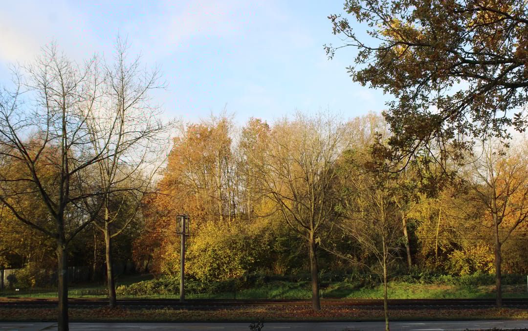 Foto 41 van Holterschans 36