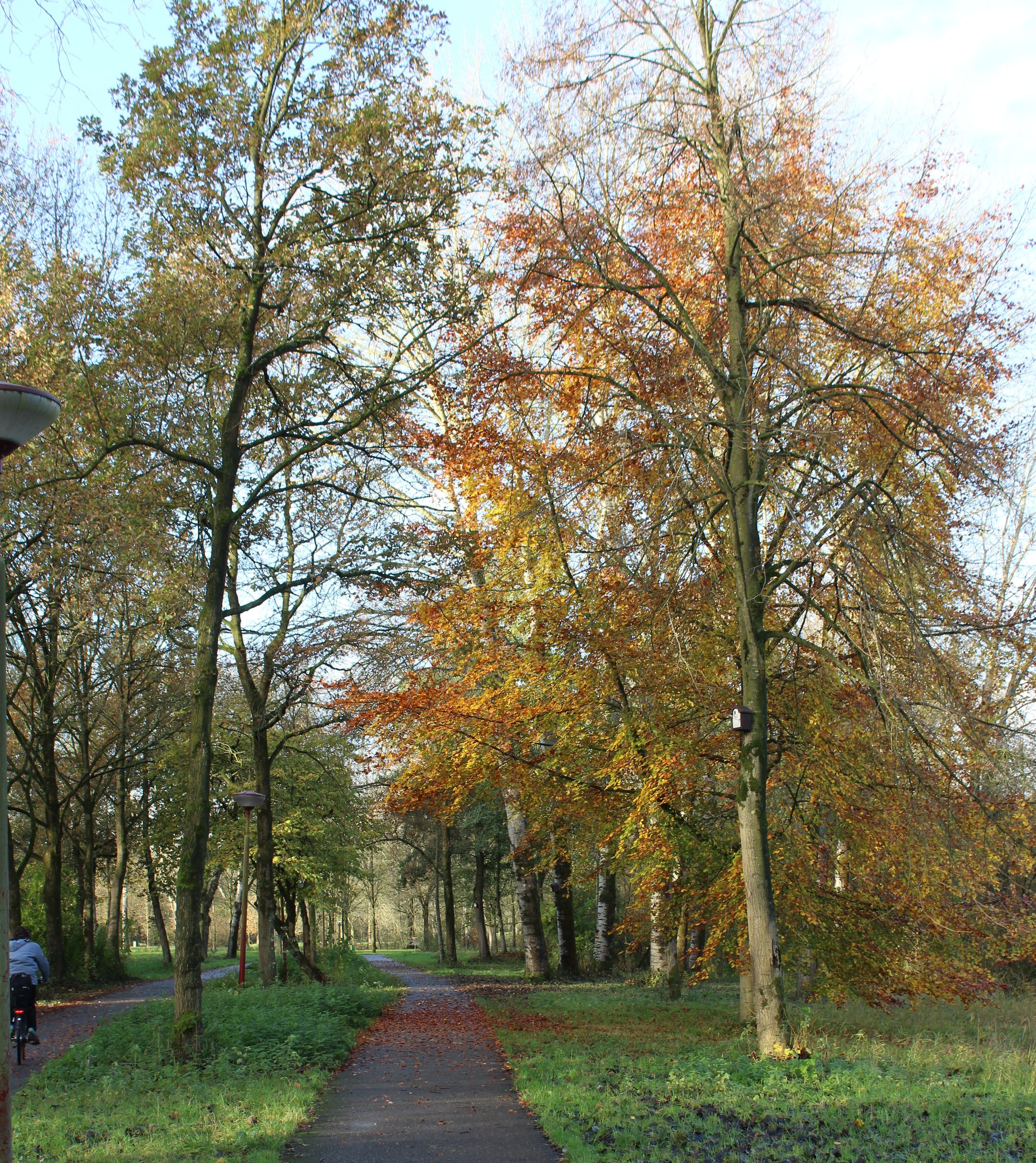 Foto 42 van Holterschans 36