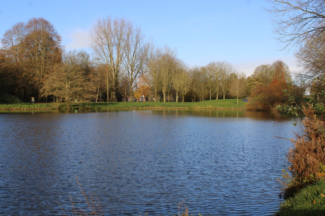 Foto 43 van Holterschans 36