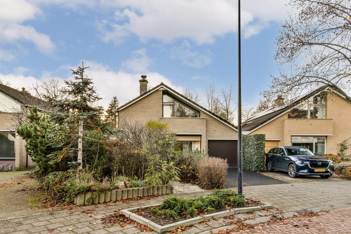 Foto 2 van Abelendreef 5