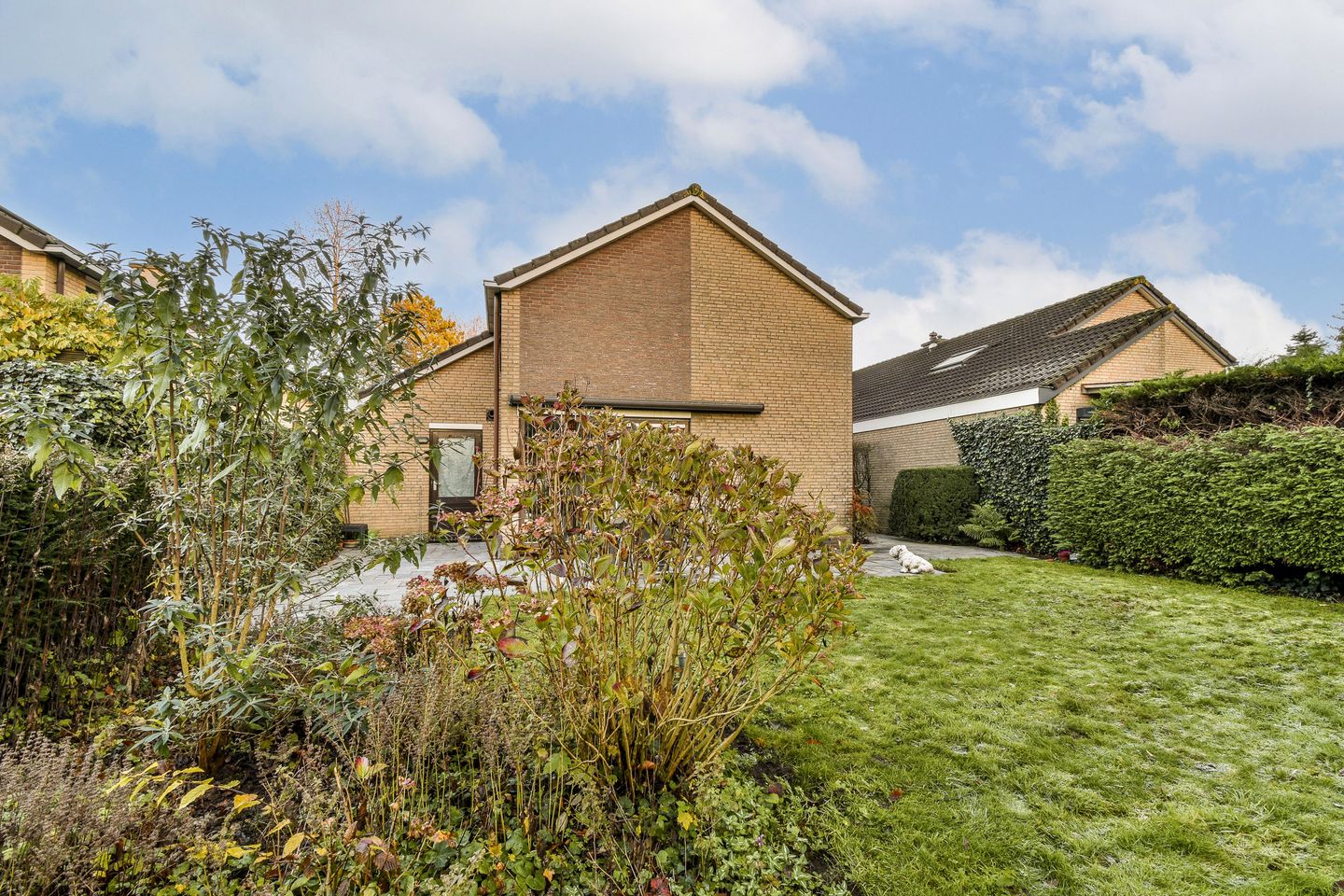 Foto 35 van Abelendreef 5