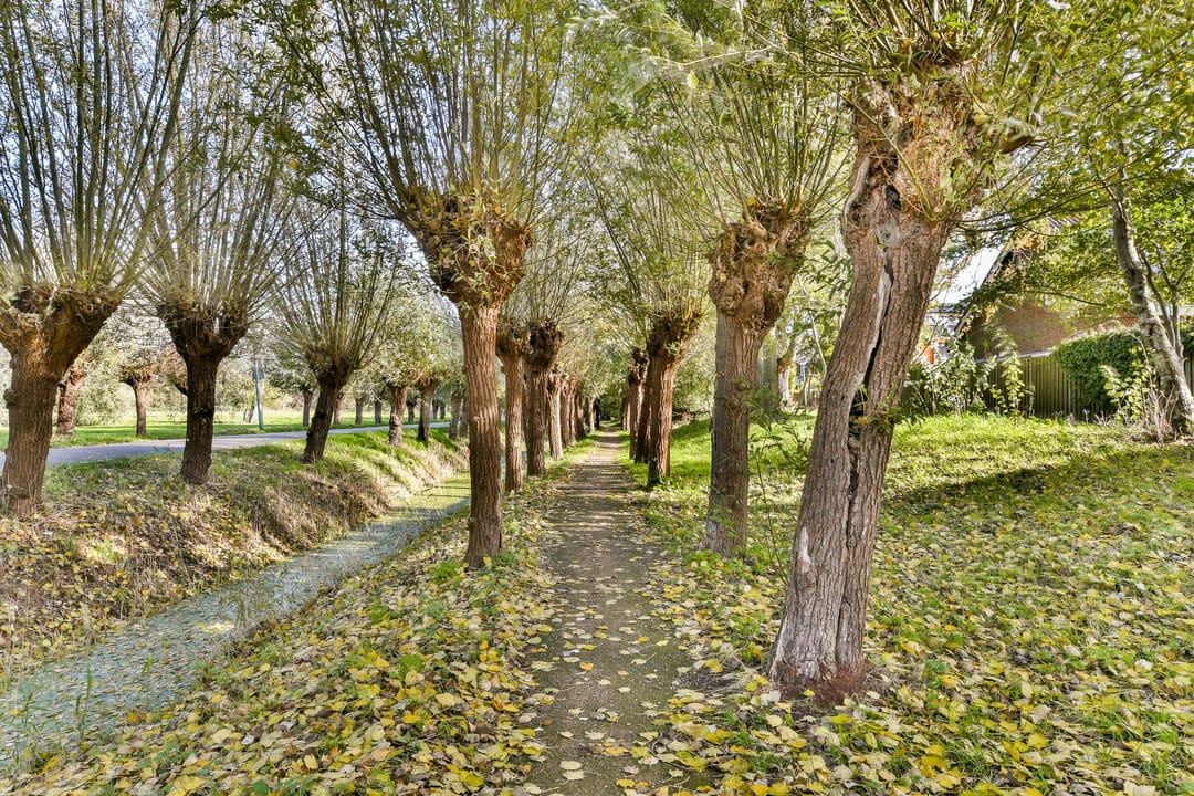 Foto 38 van Abelendreef 5