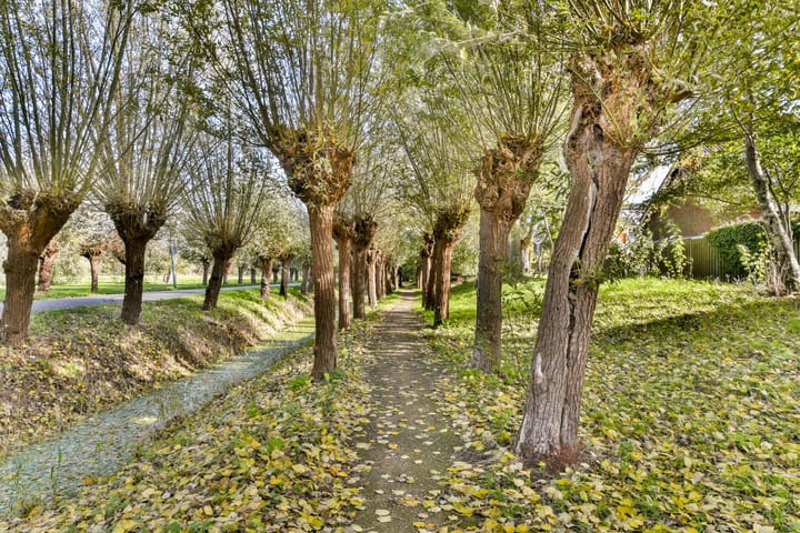 Foto 38 van Abelendreef 5