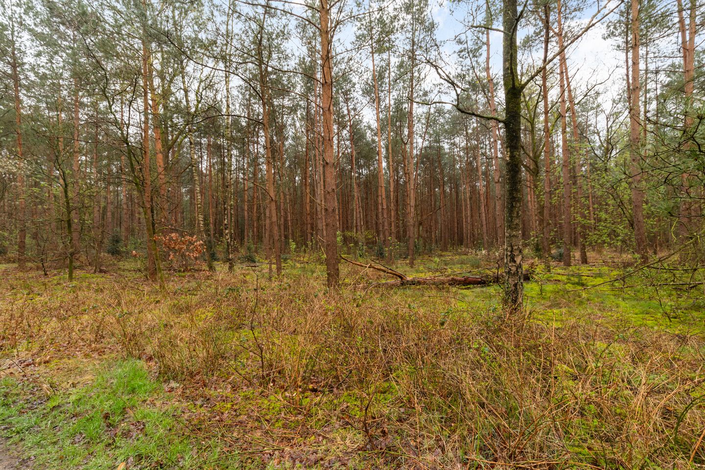 Foto 59 van Joos van Clevelaan 3