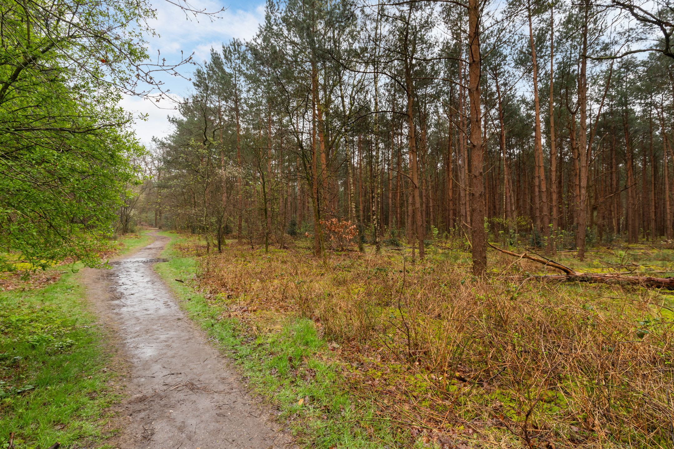 Foto 60 van Joos van Clevelaan 3