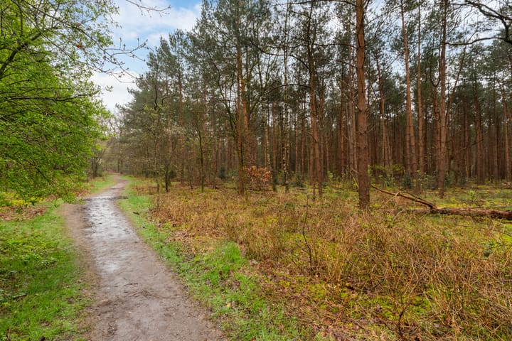 Foto 60 van Joos van Clevelaan 3