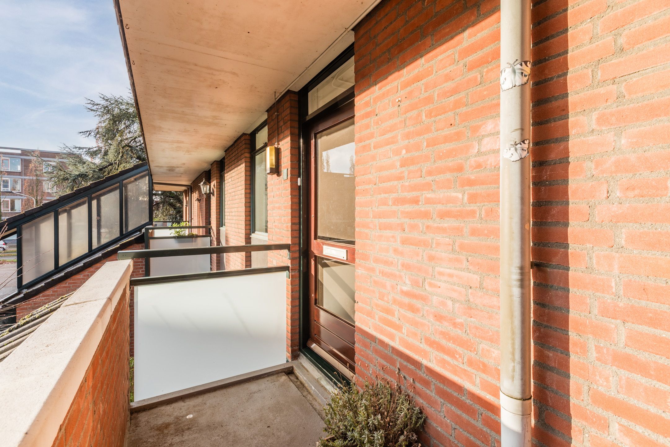 Foto 36 van Zwaluwstraat 11