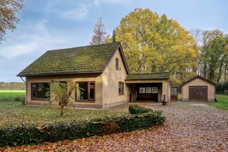 undefined main image