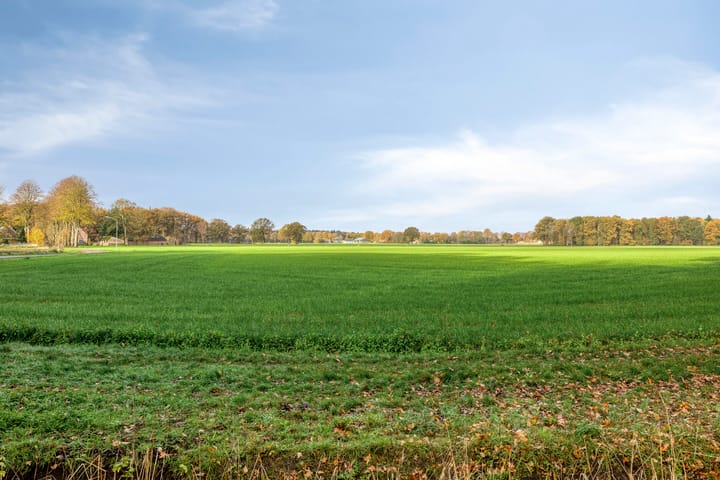 Photo 4 of Grote Vliet 10