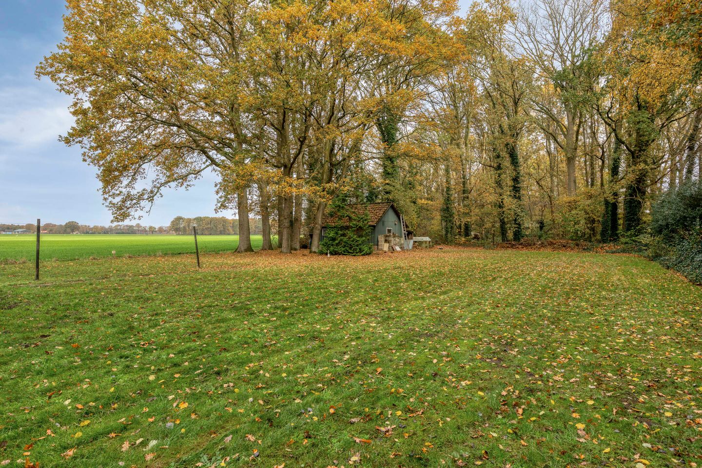 Foto 40 van Grote Vliet 10