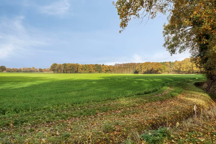 Photo 41 of Grote Vliet 10