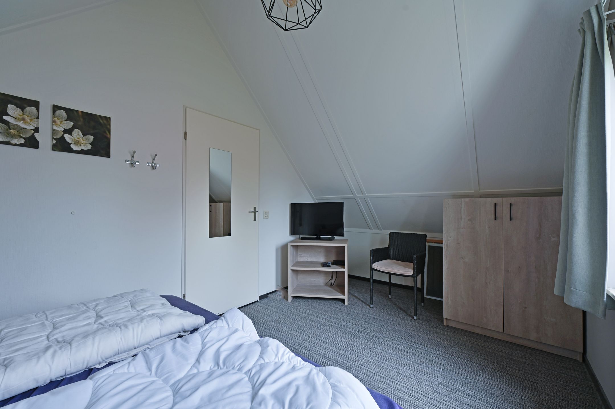 Photo 15 of De Rug 3-134