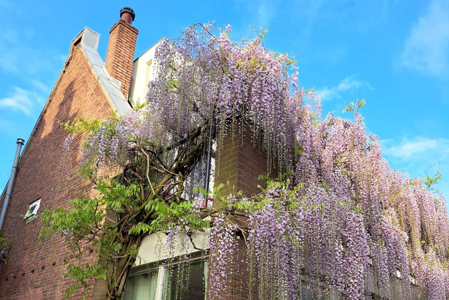 Foto 27 van Appelstraat 20