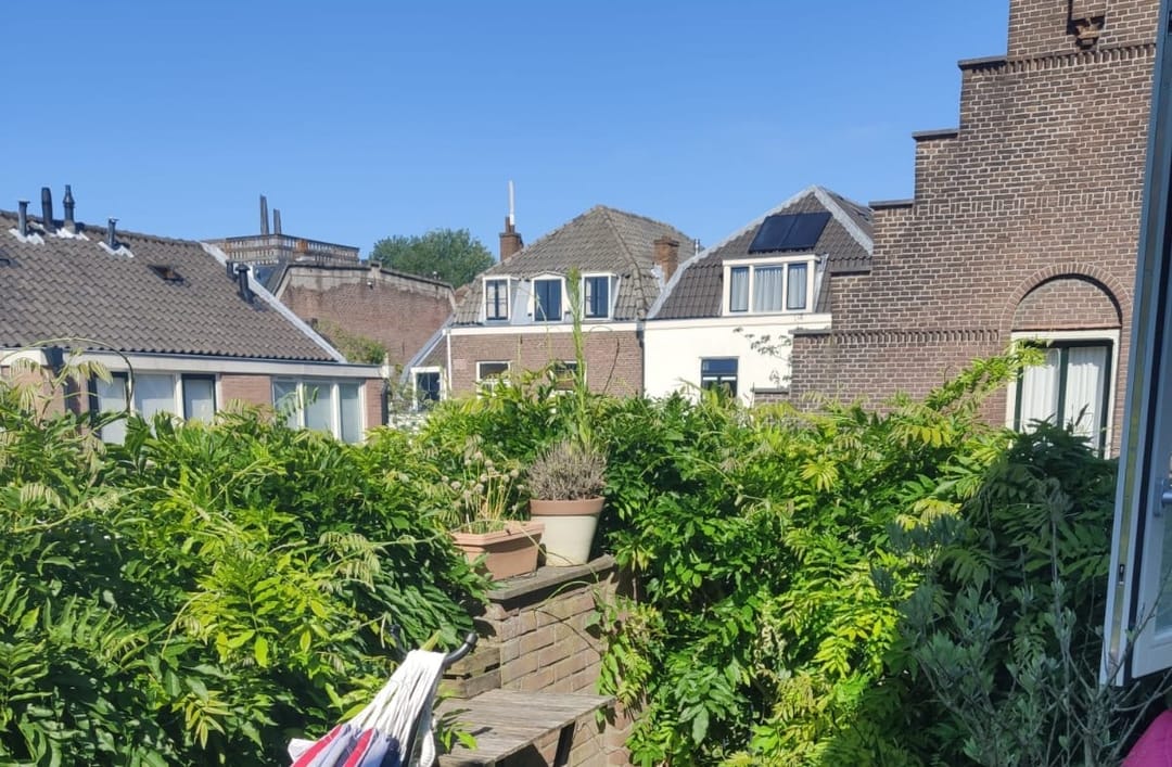 Foto 26 van Appelstraat 20