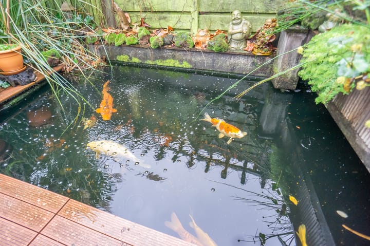 Photo 43 of Euratomsingel 19