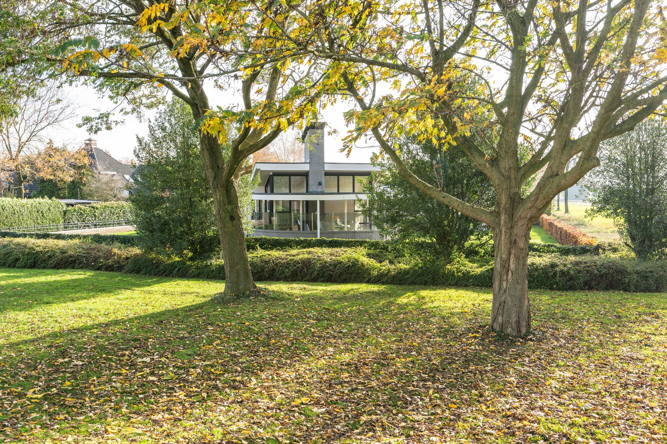 Foto 3 van Houtsnip 17