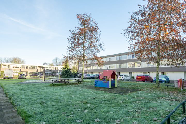 Photo 41 of Ypelobrink 44