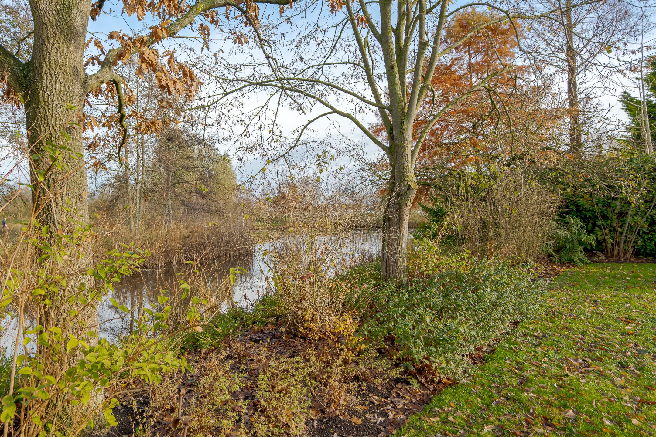 Foto 42 van de Hulst 53