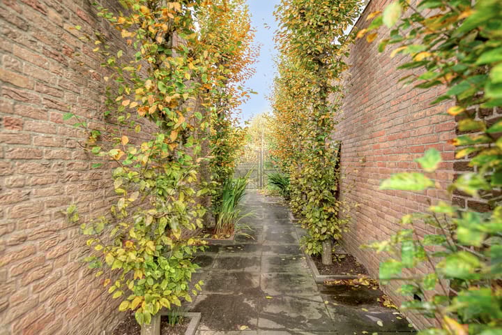 Foto 7 van Wipmolen 13