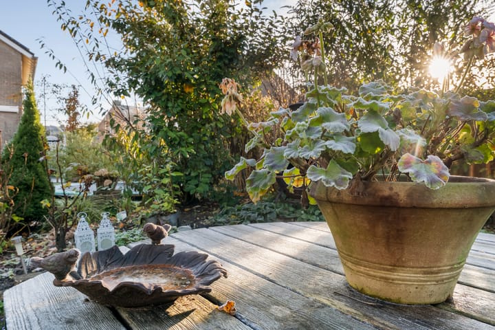 Foto 43 van Dennenlaan 9