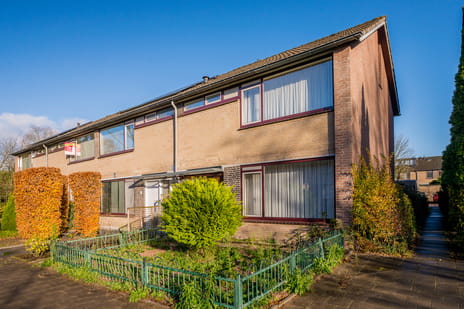 undefined main image