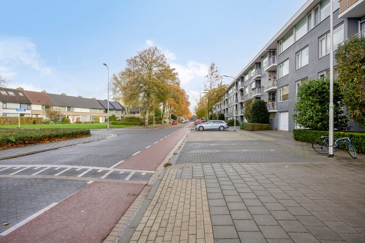 Photo 3 of Pisanostraat 378