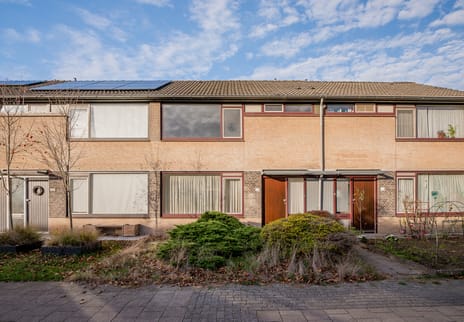 undefined main image