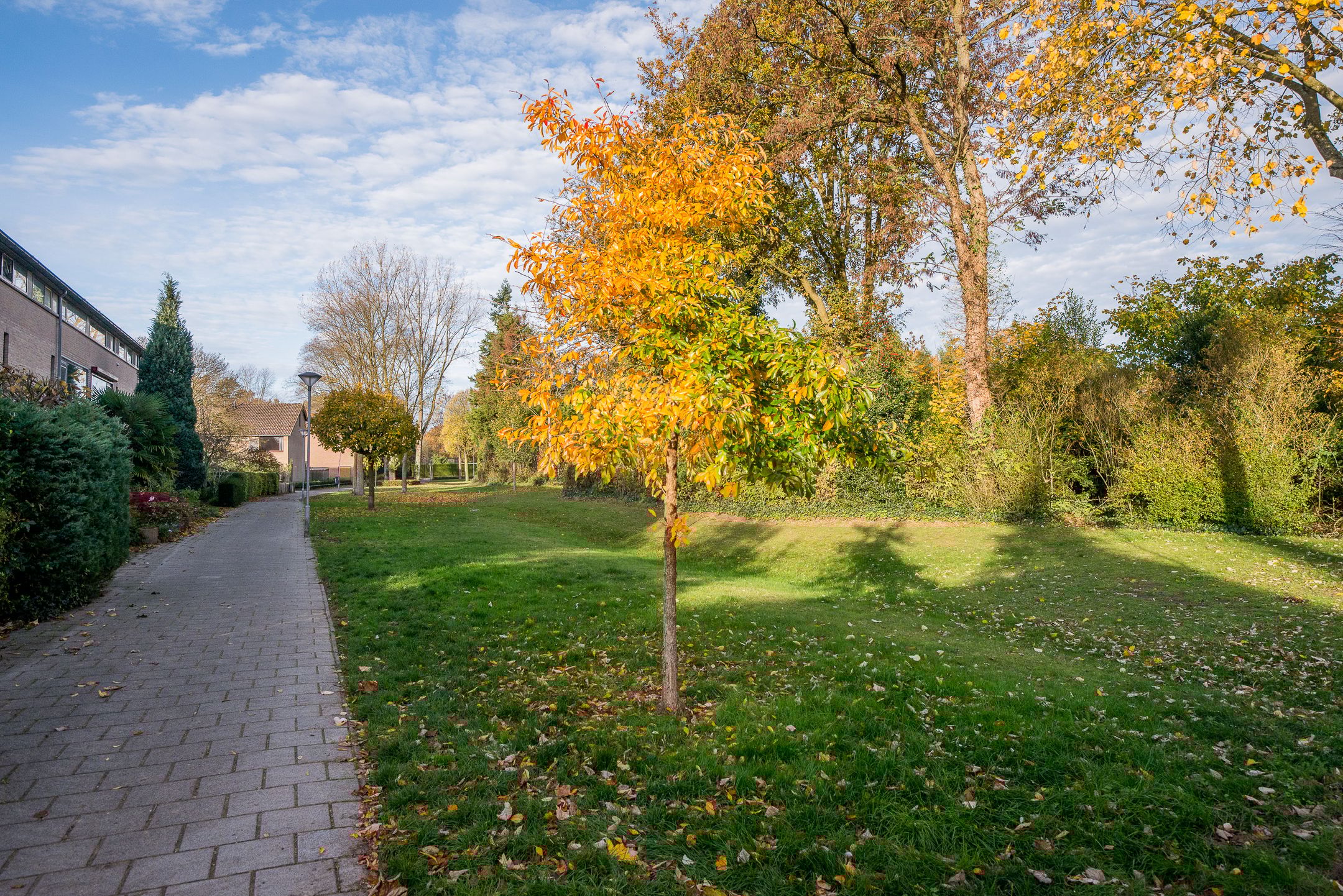 Foto 27 van de Kreijenbeek 115