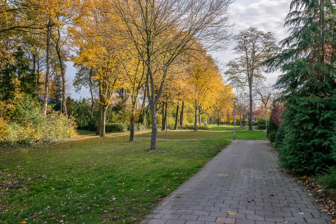 Foto 28 van de Kreijenbeek 115