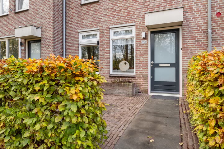 Foto 5 van Schoonhout 168