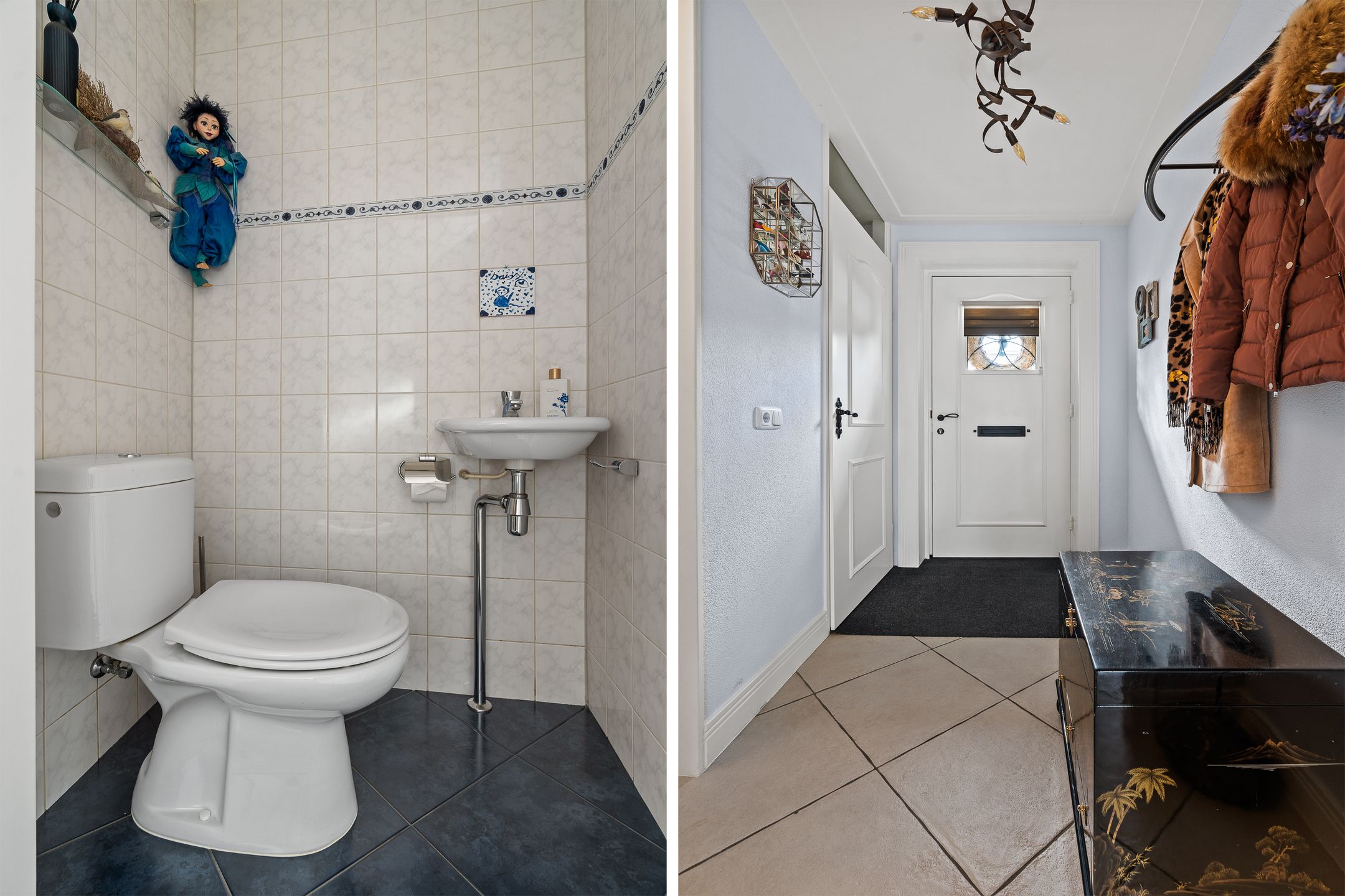 Foto 9 van Pronkmos 11