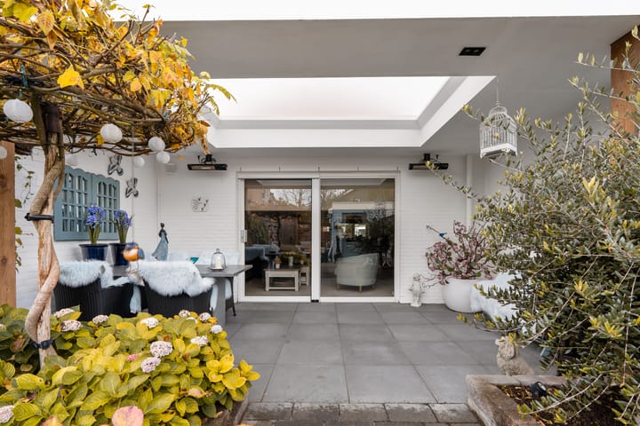 Photo 14 of Pronkmos 11