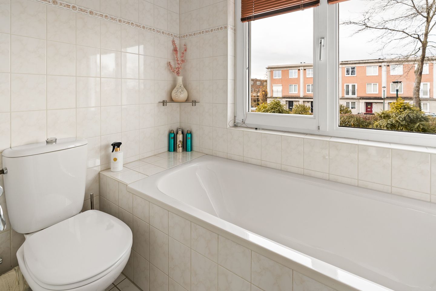 Foto 19 van Pronkmos 11