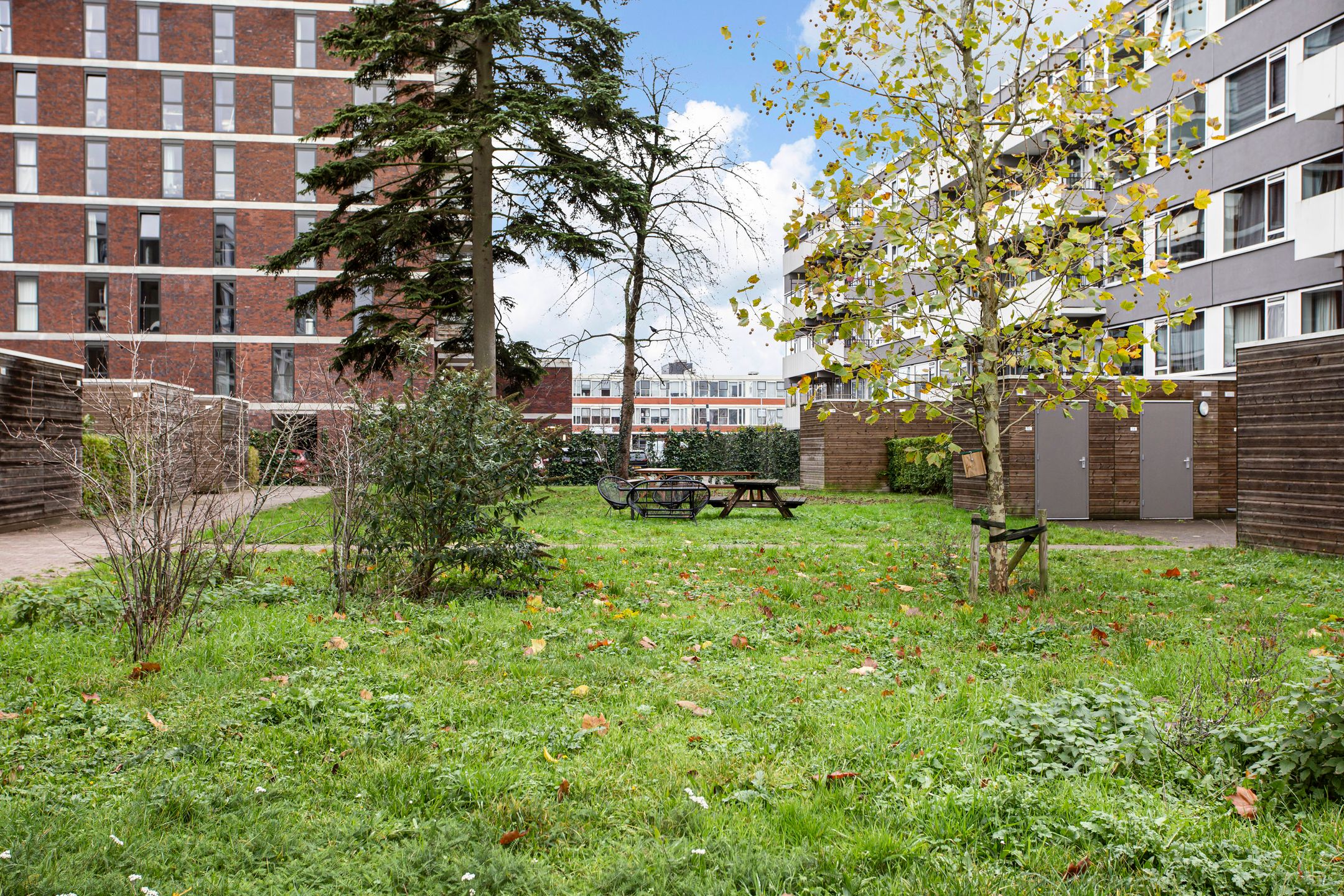 Foto 33 van Trumanlaan 493-A