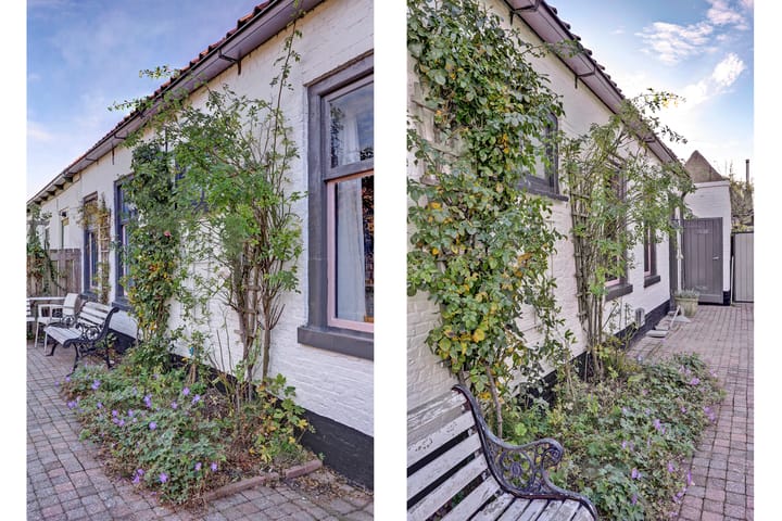 Foto 20 van Pieterhofje 2