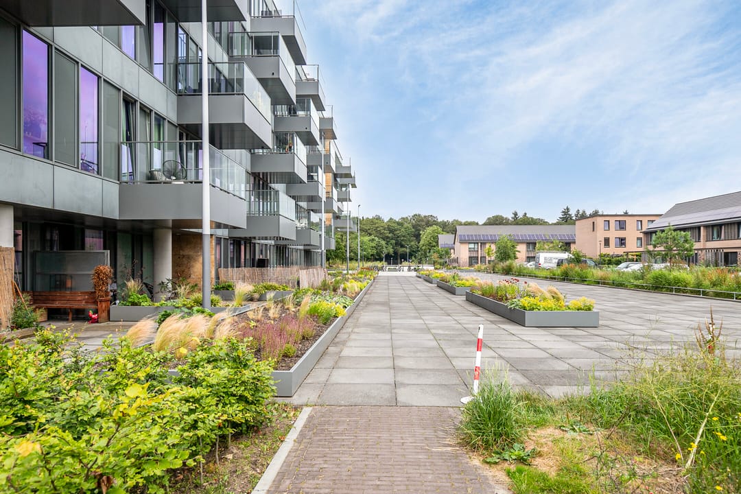 Foto 2 van Grenenhout 8-420