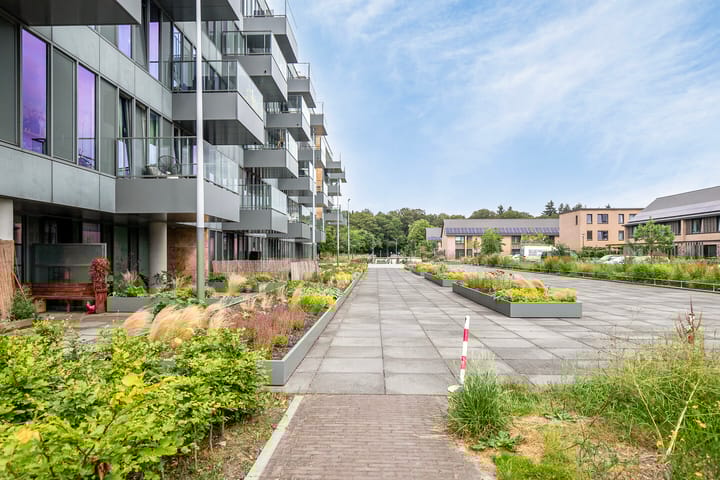 Photo 2 of Grenenhout 8-420