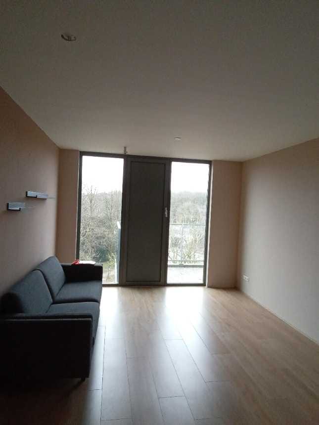 Foto 6 van Grenenhout 8-420