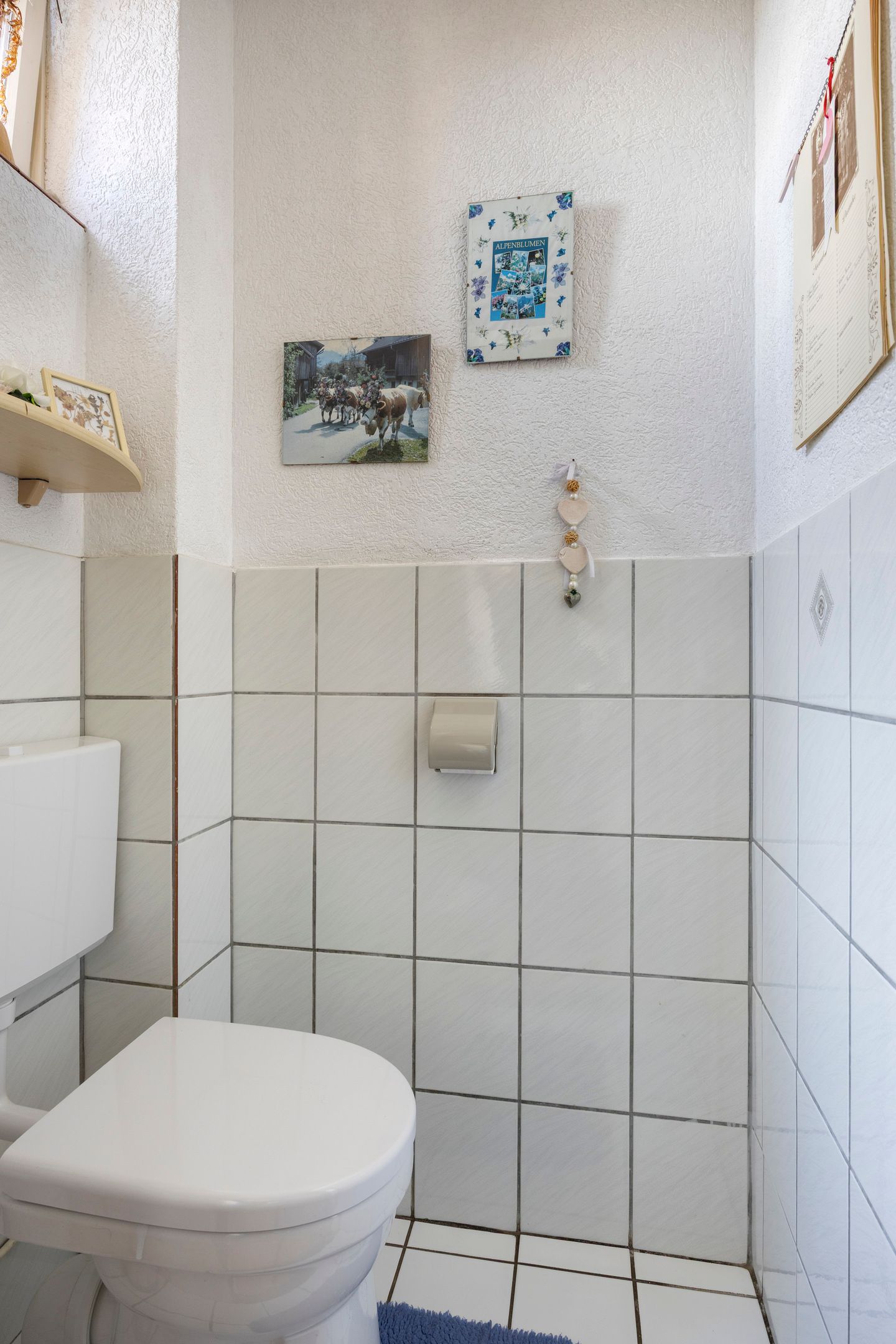 Photo 6 of Burgemeester van Weringstraat 79