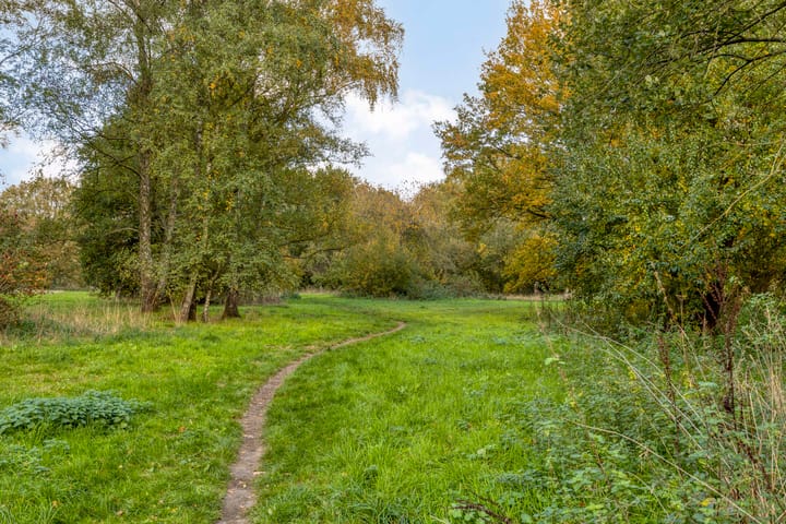 Photo 44 of Veronapad 14