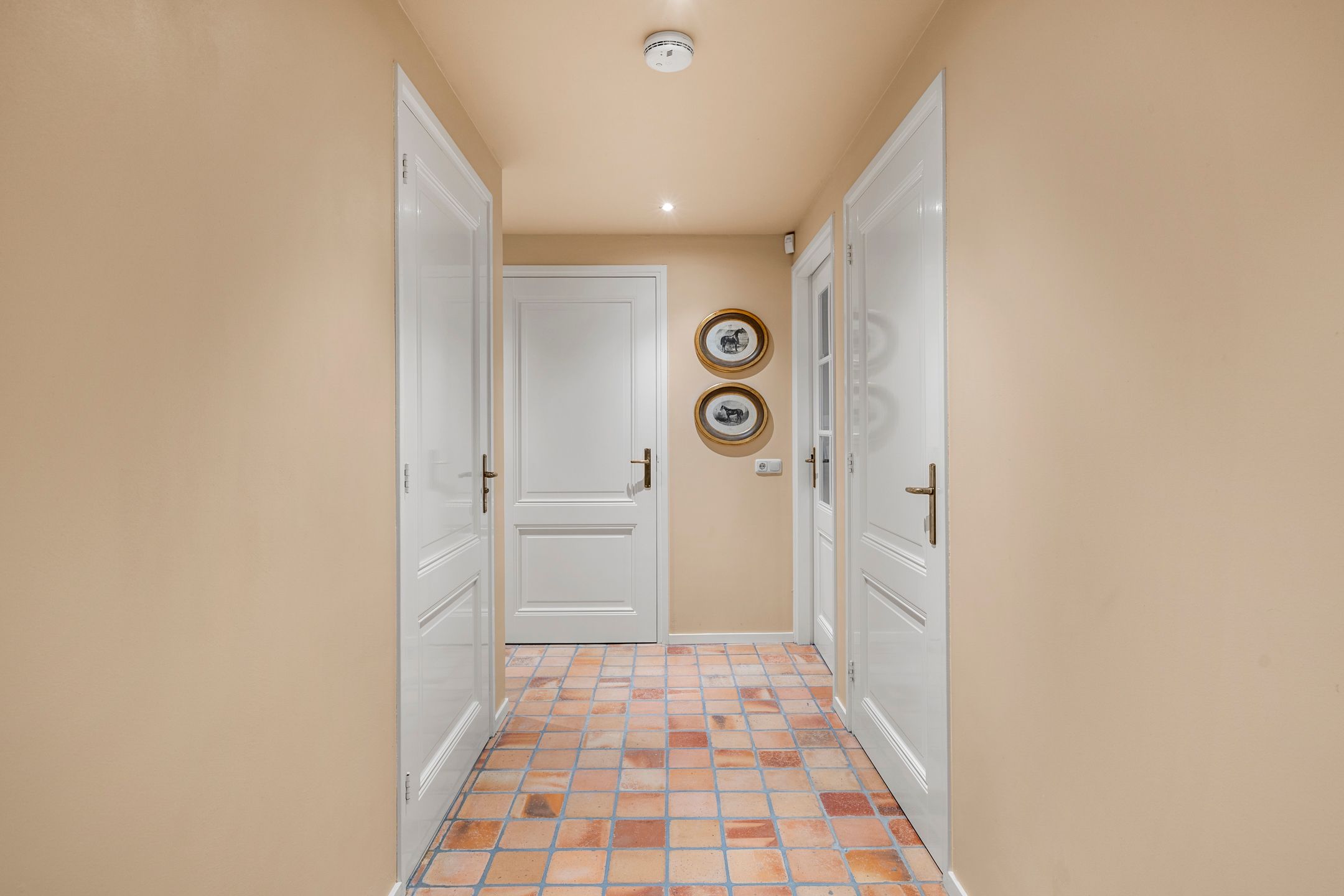 Foto 51 van Goorsteeg 134