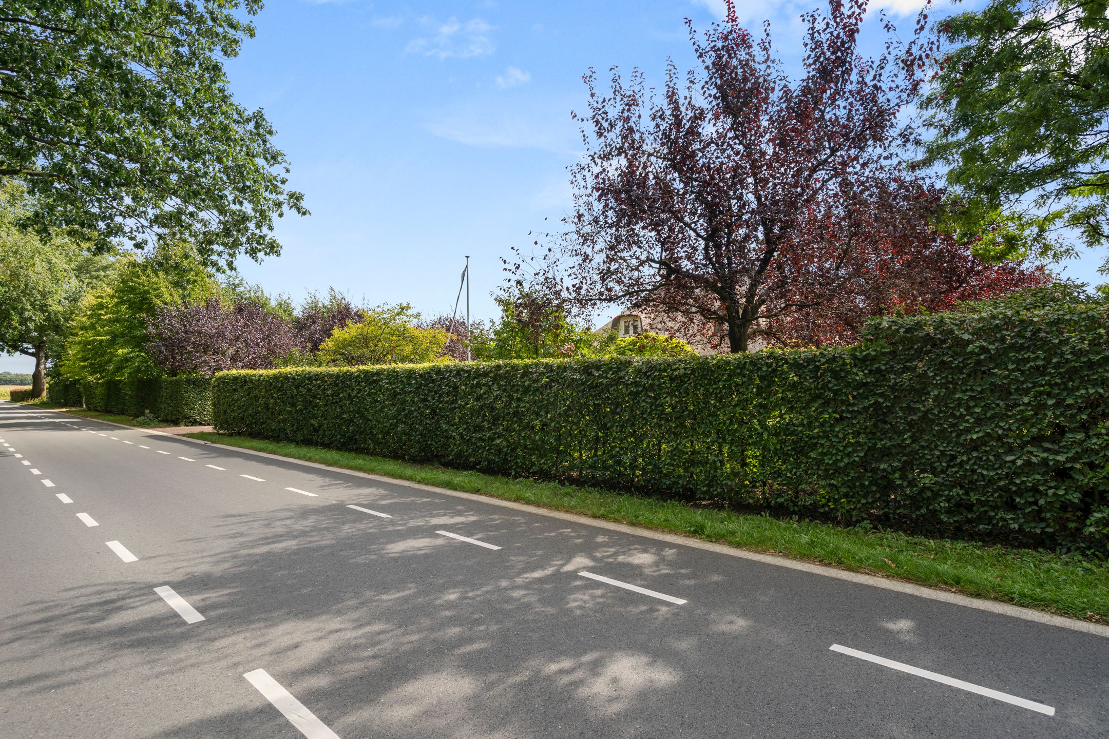 Foto 78 van Goorsteeg 134