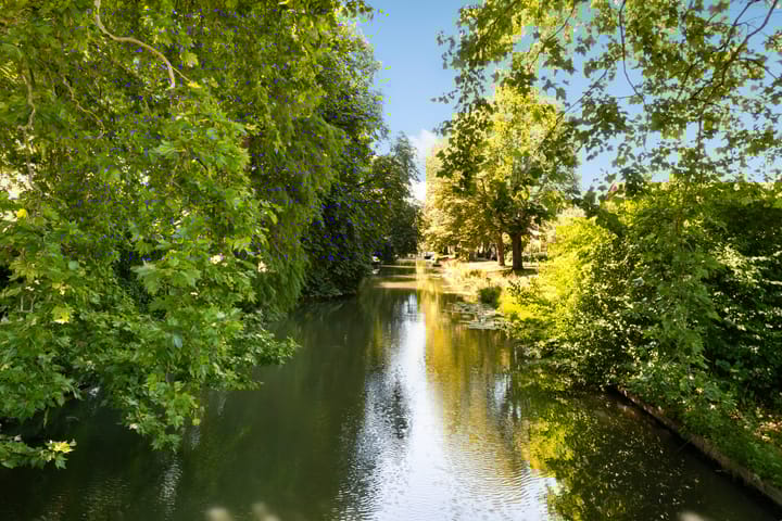 Photo 50 of Kronenburgplantsoen 12-L