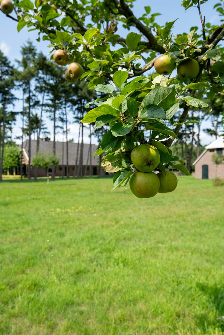 Photo 45 of Stroeërweg 33