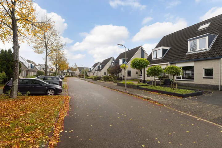 Photo 5 of Keimpemastins 16