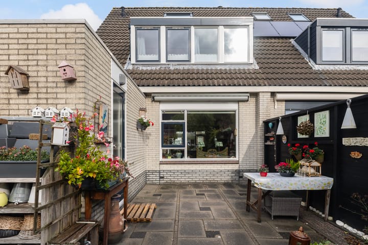 Photo 7 of Keimpemastins 16