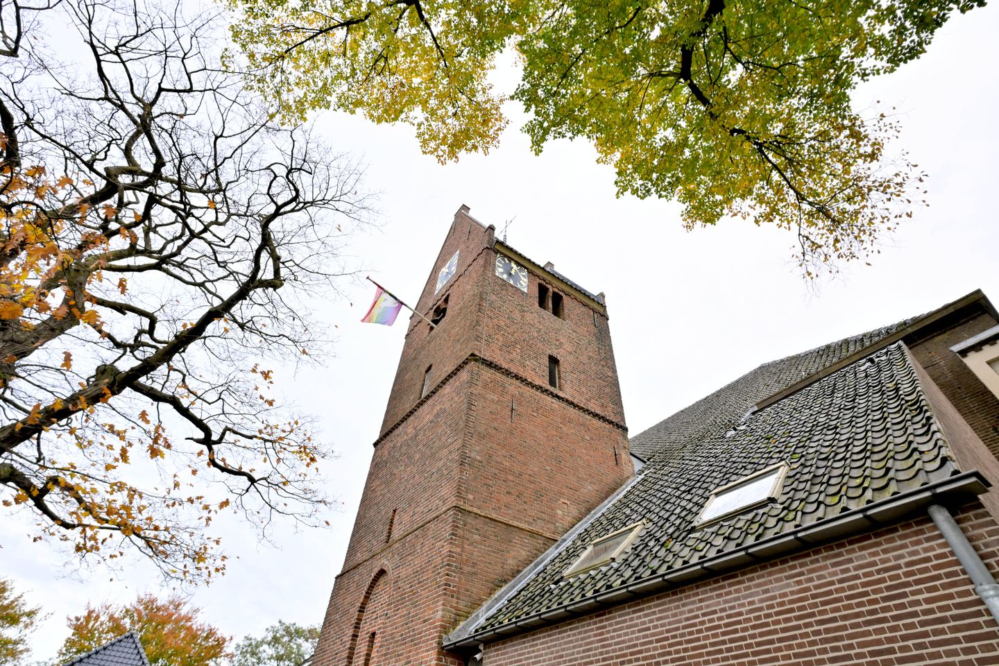 Foto 20 van Brink 8-C
