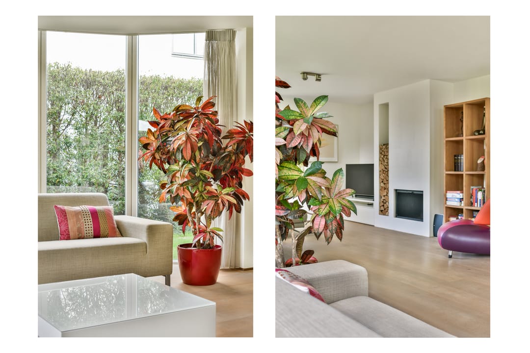 Foto 7 van Burgemeester Beelaertspark 297